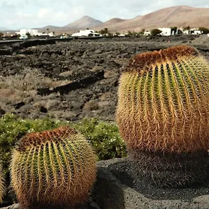 https://casa-layka-con-maravillosas-vistas-al-mar.in-canary-islands.com